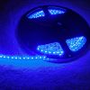 Ruban Led bleu - 120 Leds/M - IP65