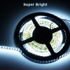 Ruban Led Blanc froid 240 Leds/M - Super bright - Etanche