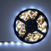 Ruban Led Economique SMD 3528 étanche - 30 Leds/M - blanc froid