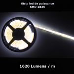 Ruban Led Blanc chaud 120 Leds/M SMD2835 1620 Lumens/m