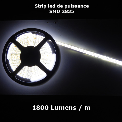 Ruban LED fin IP20 2835 blanc pour intérieur - 9,6W/m - 120 LED/m -  ®
