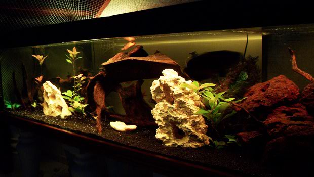 Ruban led 50 à 70 cm RGB pour aquarium - Set complet